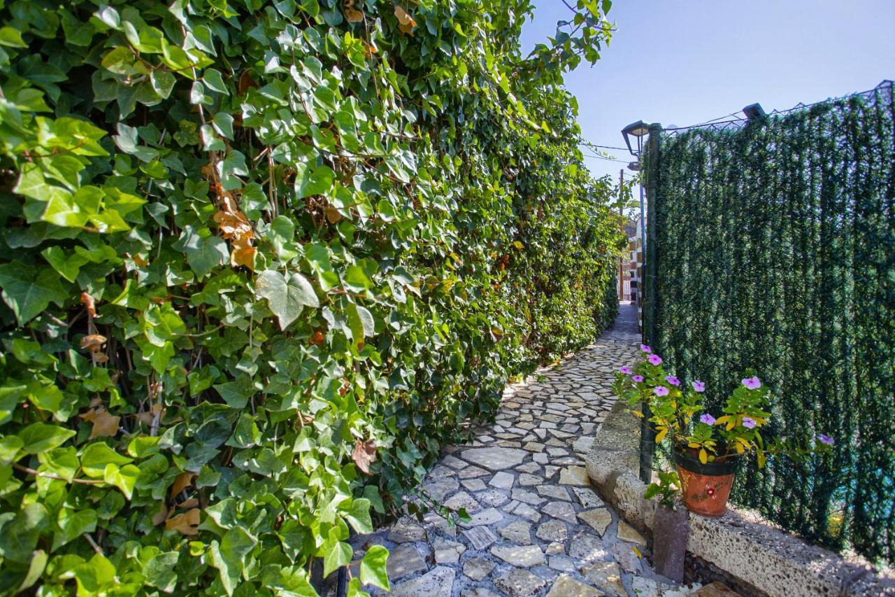 Romantic Hamlet Cottage With Private Pool La Fragua De Eliseo Candelaria Exterior photo